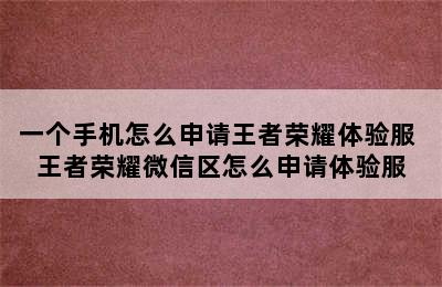 一个手机怎么申请王者荣耀体验服 王者荣耀微信区怎么申请体验服